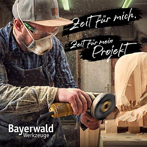 Actual product image Bayerwald Werkzeuge Rasp disc