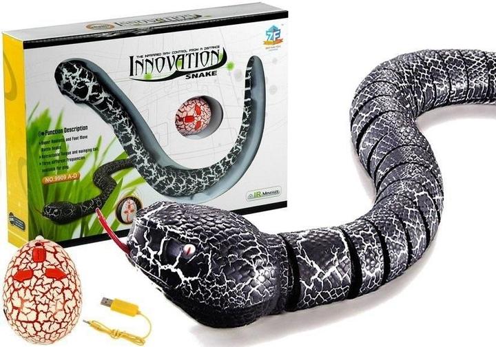 Produktbild Lean Toys Schlauch Schwarz Infrarot-Fernbedienung