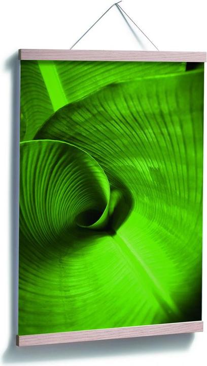Produktbild Trenddeko Bananenblatt (70 x 100 cm)
