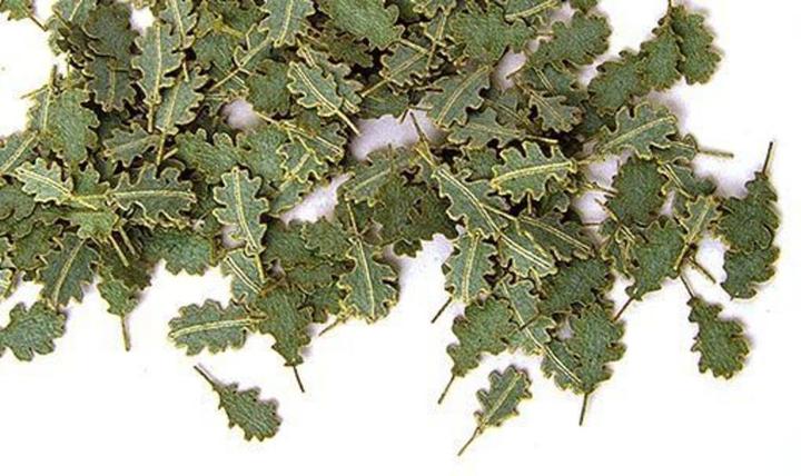 Actual product image Plus Model Green oak leaves