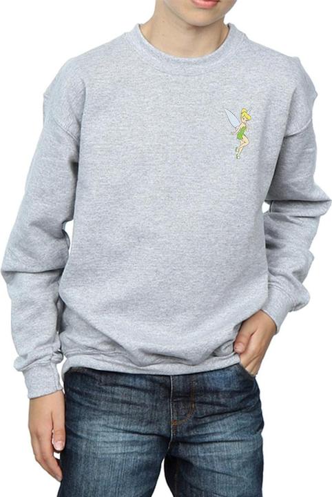 Actual product image Disney Boys Tinkerbell Chest Sweatshirt (152, 158)