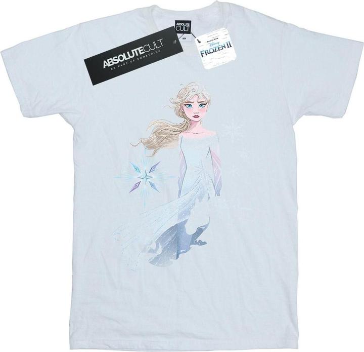Immagine prodotto Disney Frozen 2 Elsa Nokk Silhouette Maglietta Ampia Donna (XL)