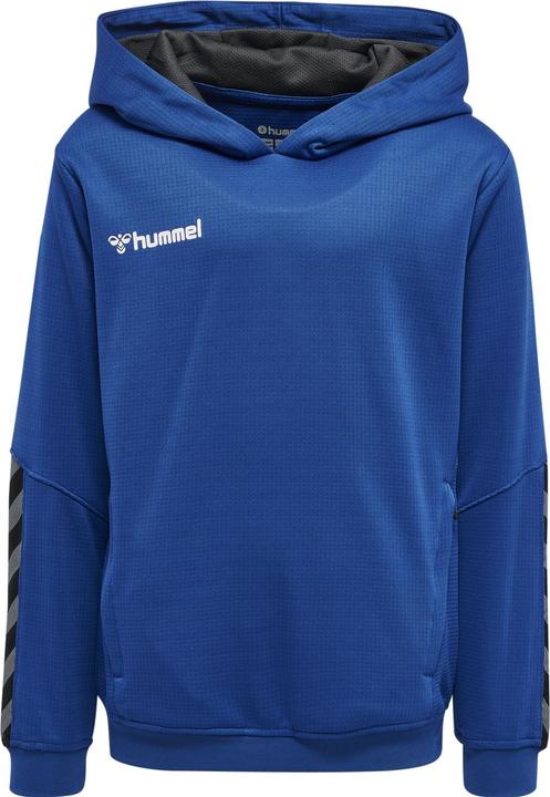 Actual product image hummel Authentic Kids Poly Hoodie (176)