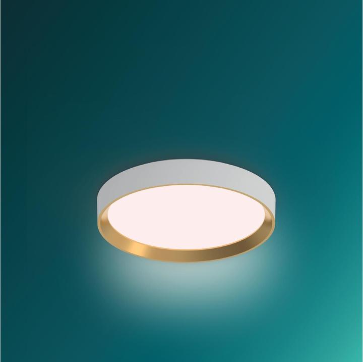 Actual product image Philips Hanno (2700 lm)