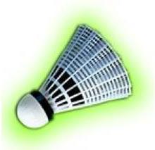 Actual product image Yonex Mavis 350