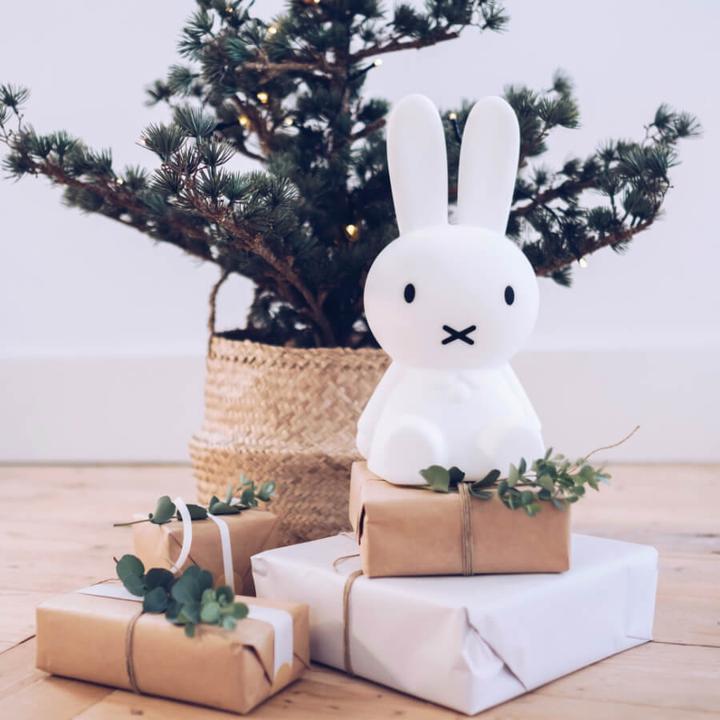 Image du produit Mr Maria Faisceau de Lumière Miffy