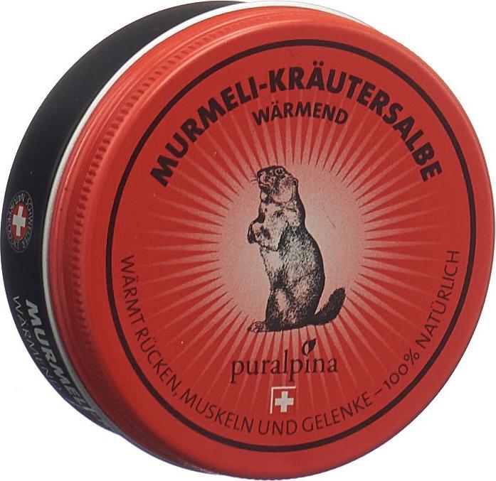 Image du produit Puralpina Pommade aux herbes Murmeli (1 x, 50 ml, 60 g)