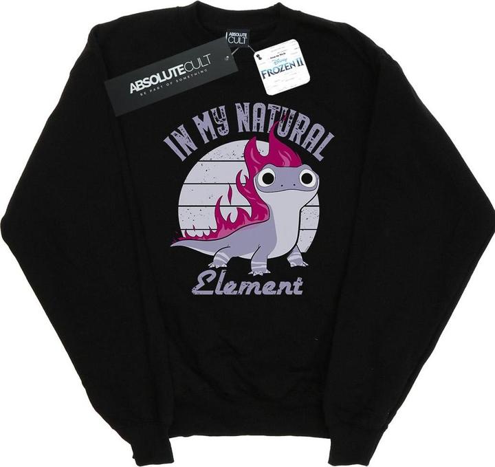 Produktbild Disney Frozen 2 Salamander Bruni Element Sweatshirt (S)