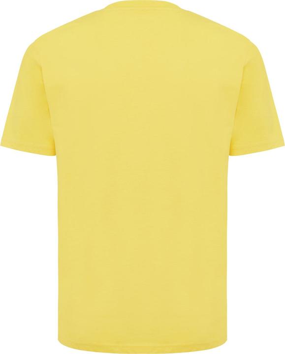 Image du produit Universal Textiles - T-shirt SIERRA - Adulte (XL)