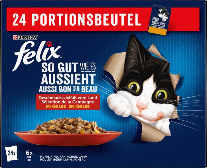 Immagine prodotto Felix Carne di Agail (Adulto, 24 pz., 2040 g)