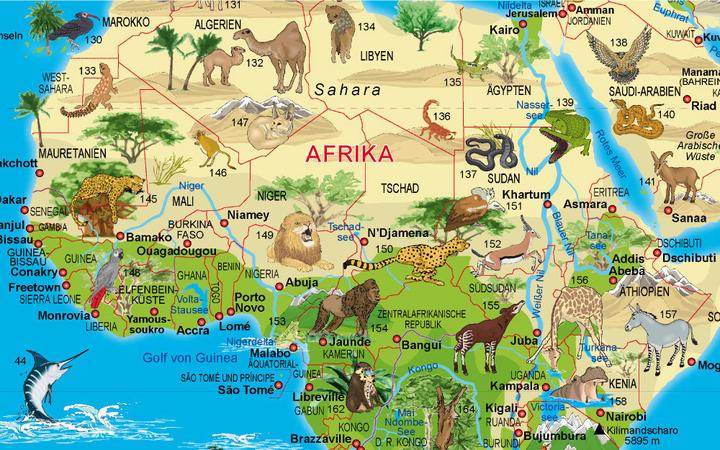 Actual product image Illustrated world map animals, poster map