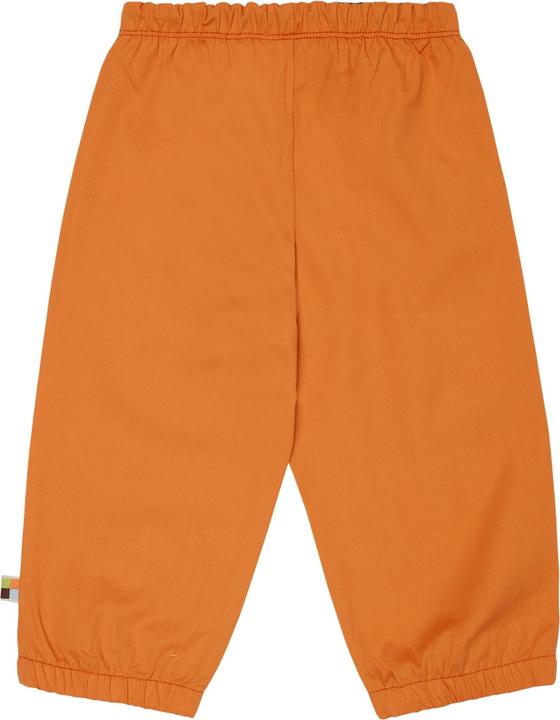 Actual product image loud + proud Outdoor trousers (62)
