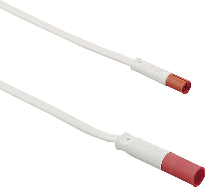 Elektra Verlängerungsleitung-Mini-Stecker codiert 230 V, Länge 2000 mm (2 m)