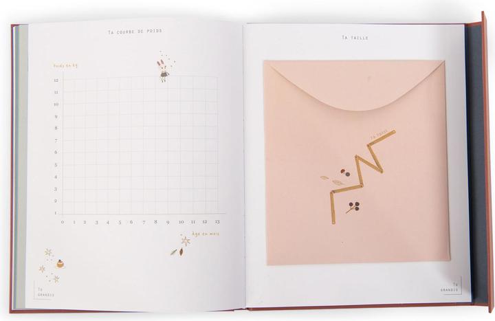 Actual product image Moulin Roty Birth book