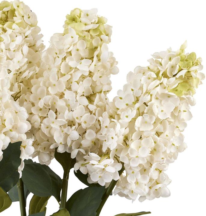 Image du produit Hill Interiors Hortensia en forme de lance Fleur artificielle (88 cm)