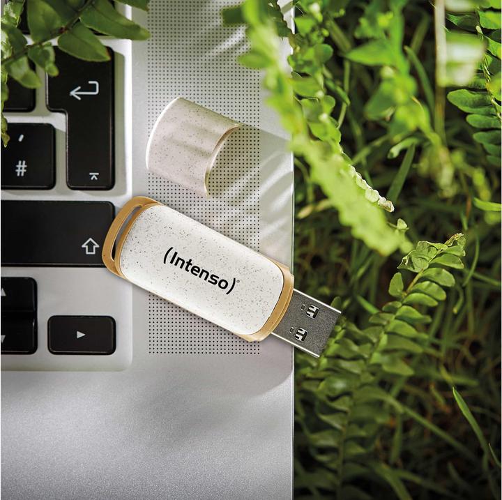 Actual product image Intenso Green Line (64 GB, USB-A)
