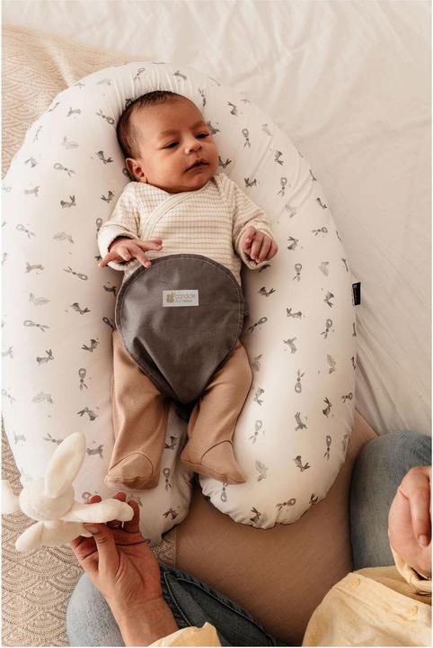 Actual product image Candide Multifunctional pregnancy cushion