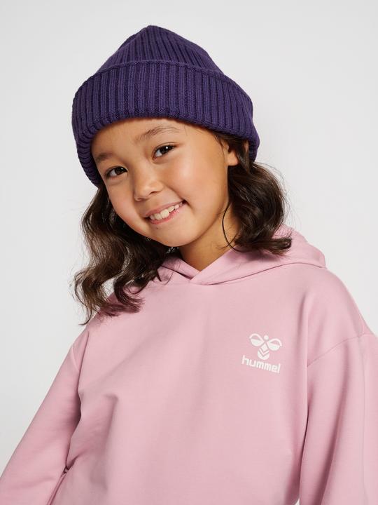Image du produit hummel hmlDUE HOODIE (110)