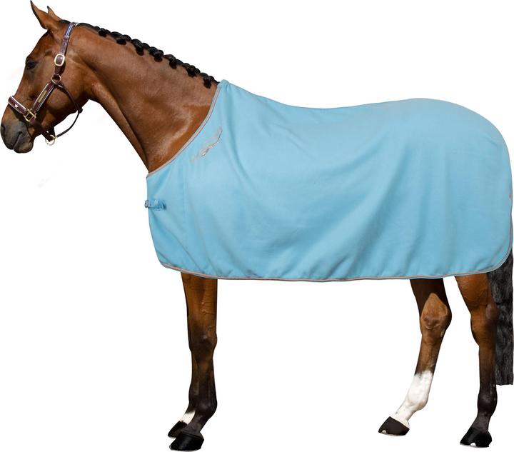 Produktbild Imperial Riding Classic (165 cm)