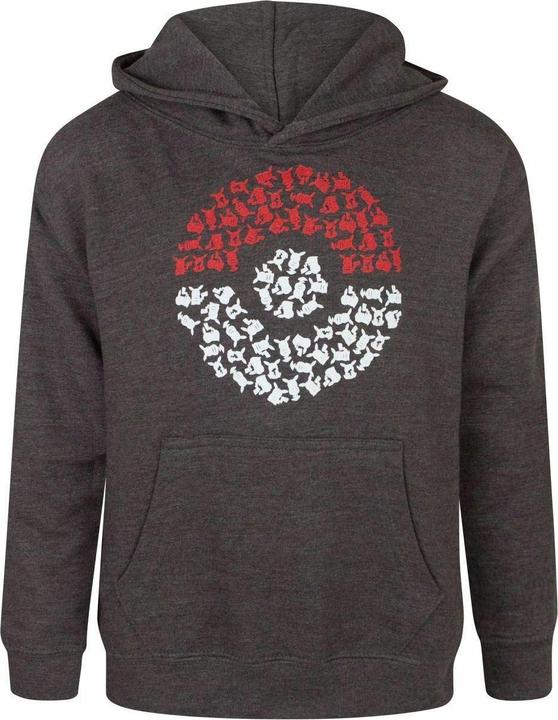 Produktbild Pokémon Kapuzenpullover Jungen (116)
