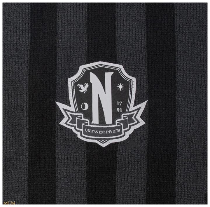 Actual product image Cinereplicas Wednesday: Nevermore Academy Scarf