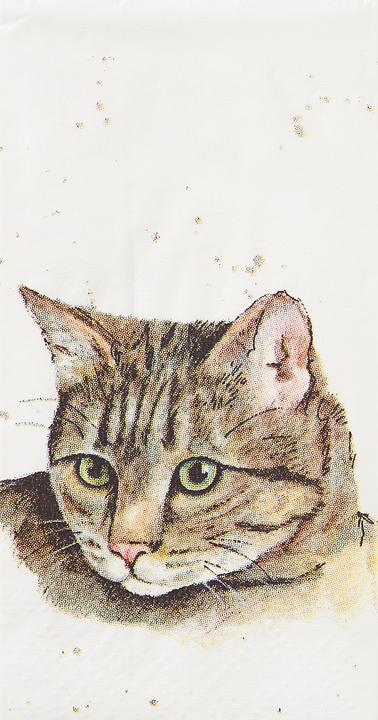 Immagine prodotto IHR Taschentuch Farmfriends Cat