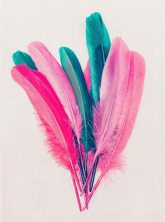 Produktbild Trenddeko Feder Bouquet (240 x 300 cm)