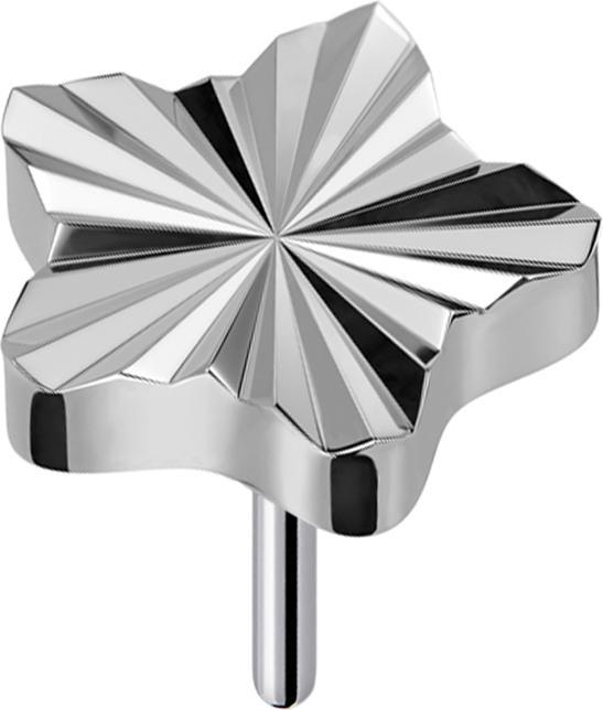 Produktbild Star Piercing Threadless Diamantschliff Scheibe Stern silber (Titan G23, ohne Messing)