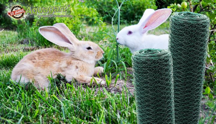 Produktbild Aquagart 20m Sechseckgeflecht Hühnerzaun Kaninchendraht Hasengitter grün Hasendraht 50cm