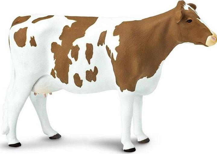 Actual product image Safari Ayrshire beef