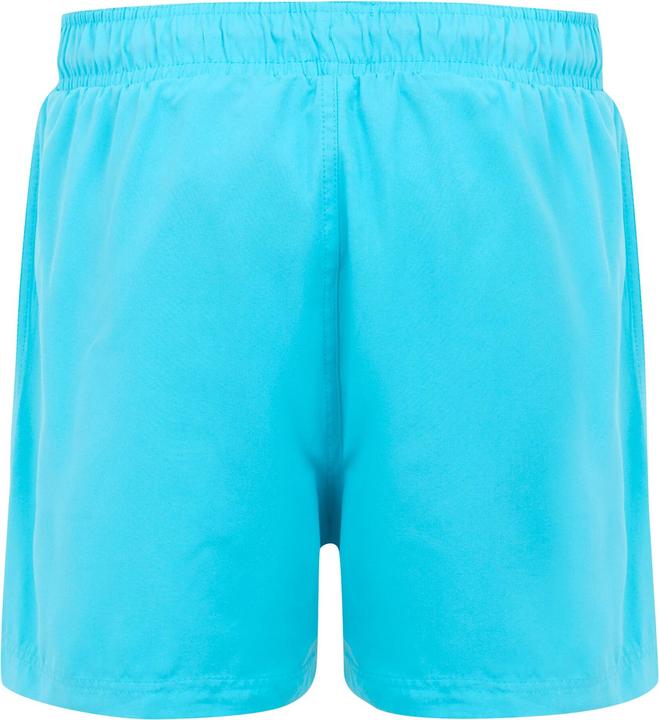 Actual product image Regatta Mens Mawson II Swim Shorts (L)