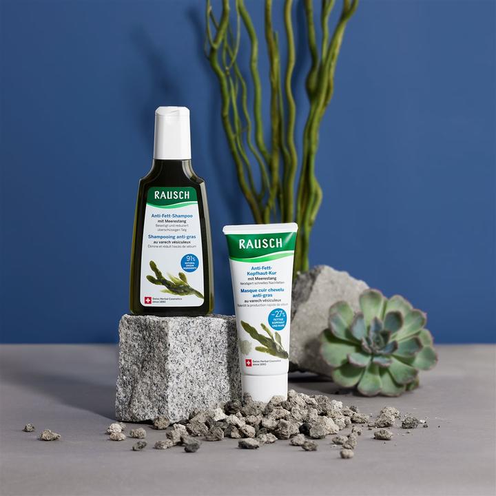 Actual product image Rausch Anti Grease Shampoo with Seaweed (200 ml, Liquid shampoo)