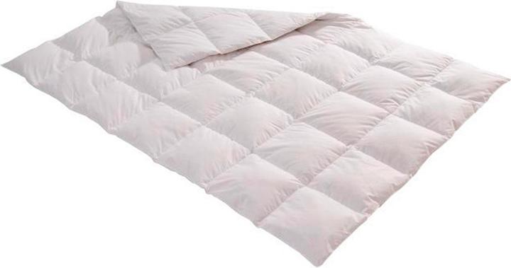 Produktbild Billerbeck Edition Thea (500 g, 200 x 210 cm)
