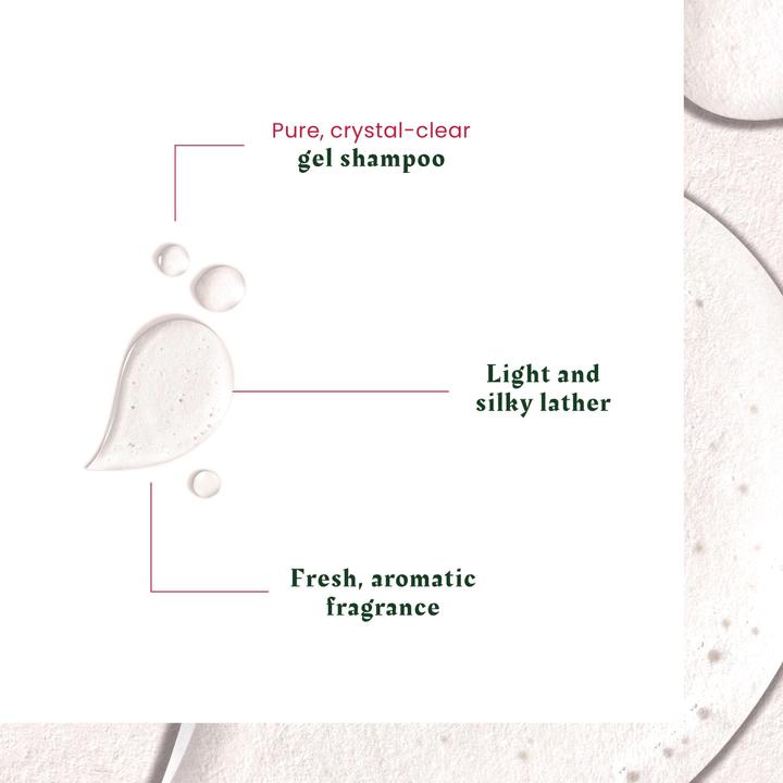 Immagine prodotto Rene Furterer Neopur Shampoo Forfora grassa (150 ml, Shampoo liquido)