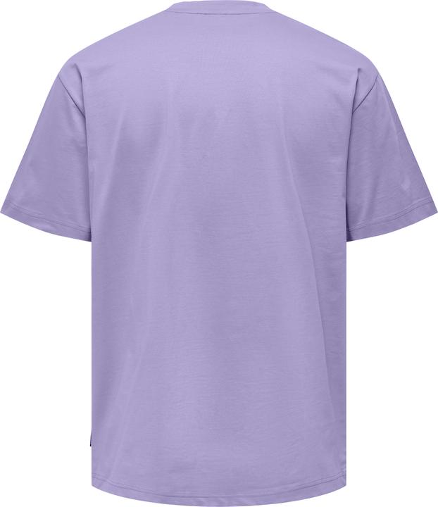 Produktbild Only & Sons Onsfred Life Rlx Ss Tee Noos (XXL)