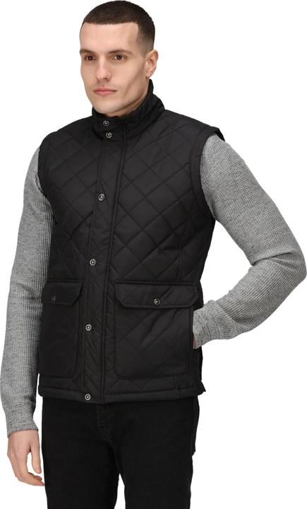 Image du produit Regatta - Veste sans manches TYLER - Homme (XXL)