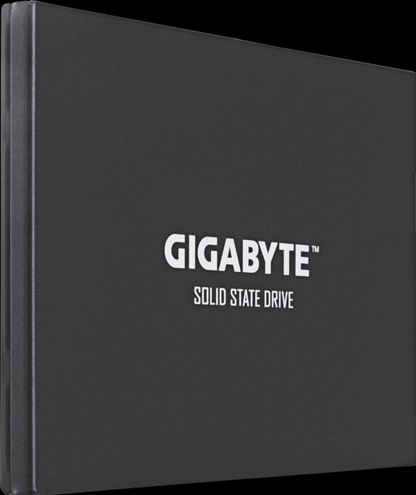 Image du produit Gigabyte GP-GSTFS30256GTTD (256 Go, 2.5")