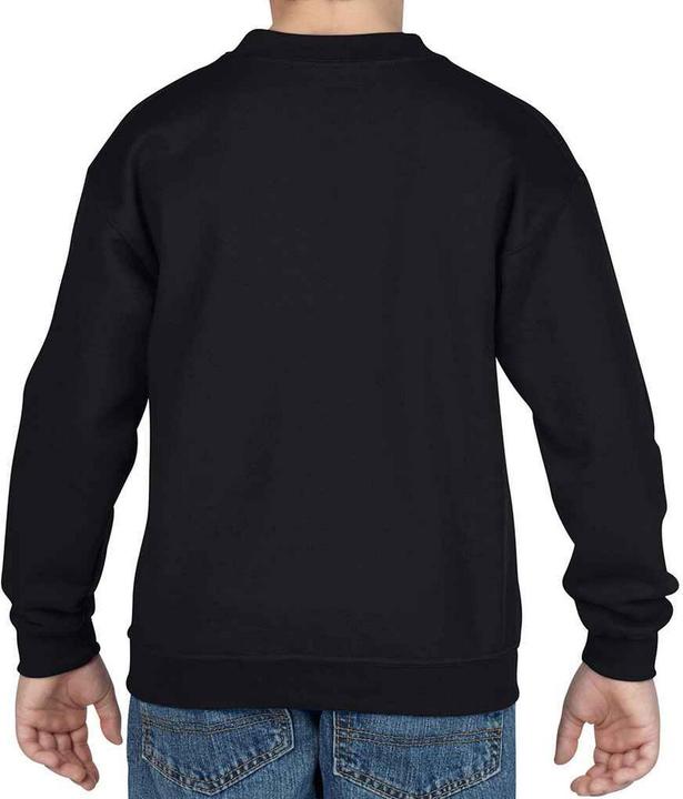 Actual product image Gildan Childrens/Kids Heavy Blend Drop Shoulder Sweatshirt (128)
