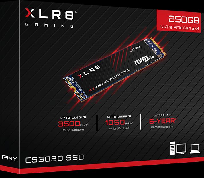 Actual product image PNY XLR8 CS3030 (250 GB, M.2 2280)