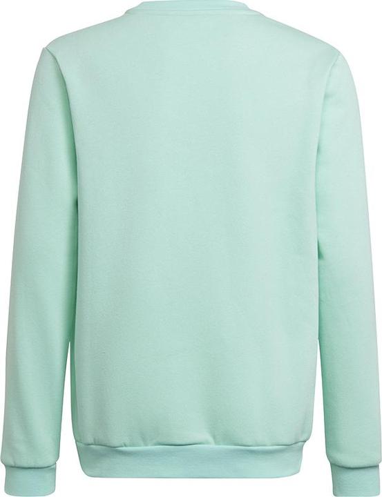 Actual product image adidas Entrada 22 sweatshirt kids (164)