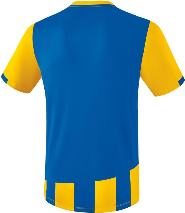 Actual product image Erima Siena 3.0 jersey (XXL)