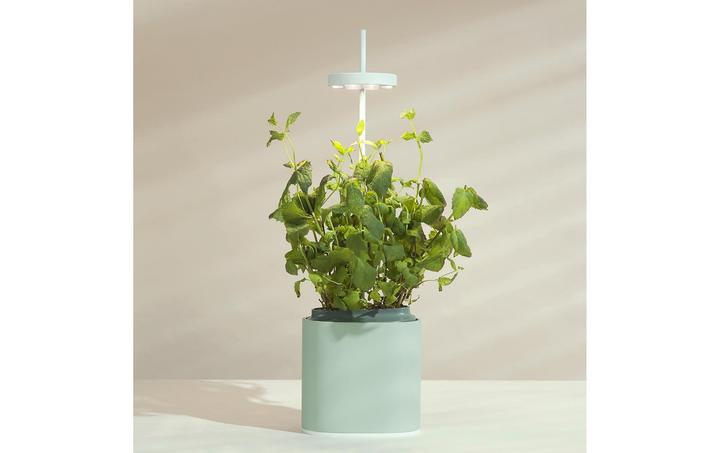 Immagine prodotto Prêt à Pousser Herb Pot Nano, Verde Celadon (13.50 cm)