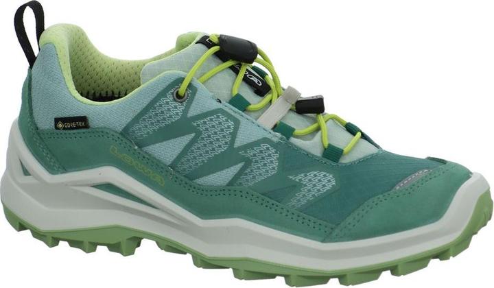 Lowa Maddox Pro GTX LO