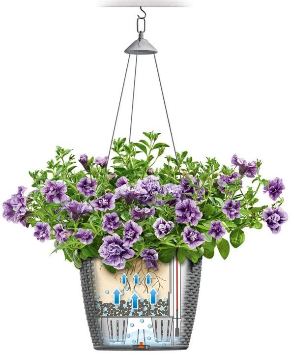 Produktbild Lechuza Nido Cottage (27 cm)