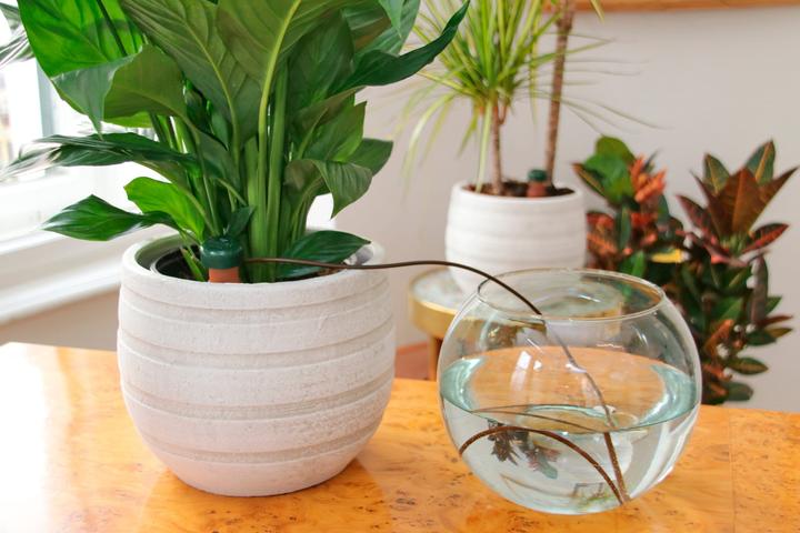Produktbild Blumat Wasserspender (Tonkegel)