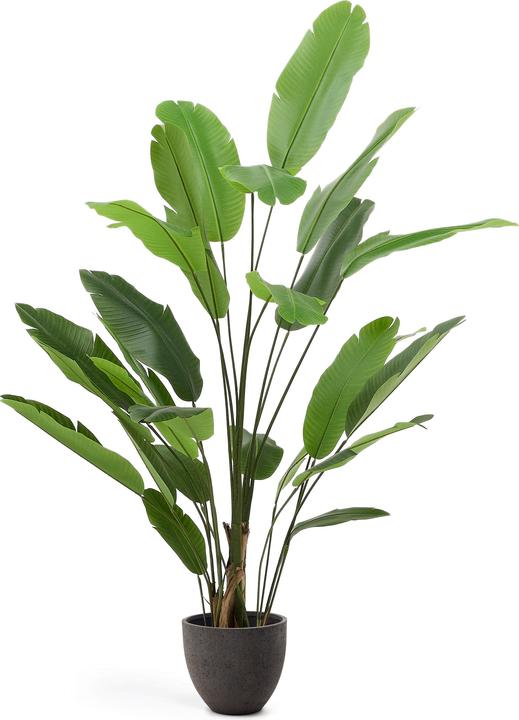 Actual product image Kave Home Banano (210 cm)