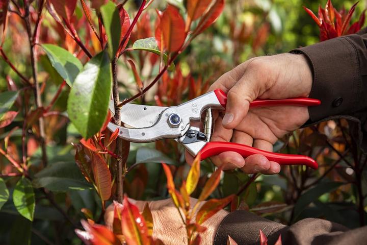Image du produit Felco 4