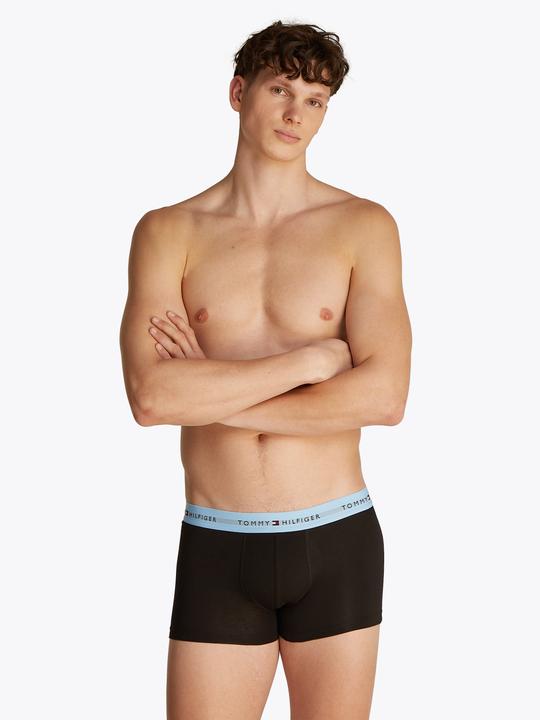 Image du produit Tommy Hilfiger Signature Ctn Ess (XL, paquet de 7)