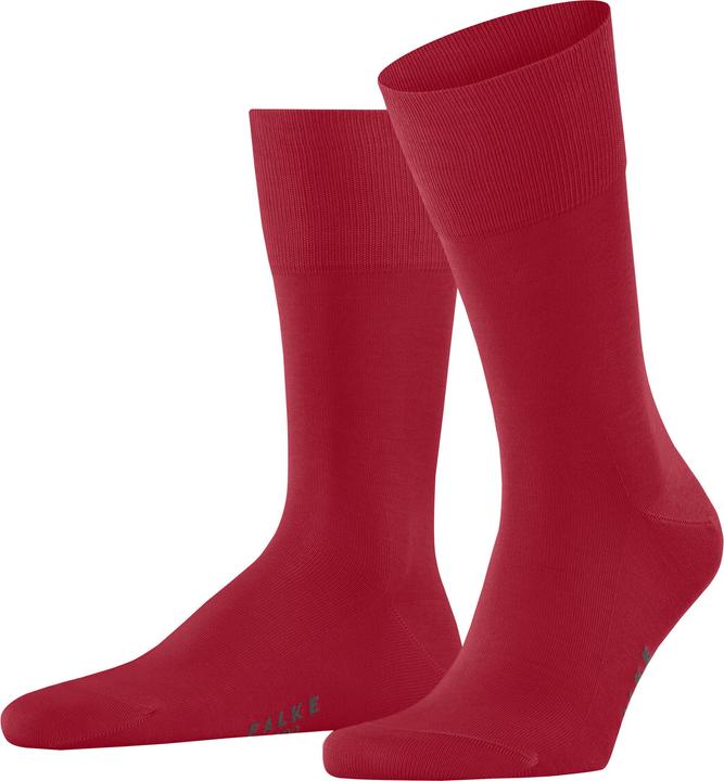 Falke Tiago Herren