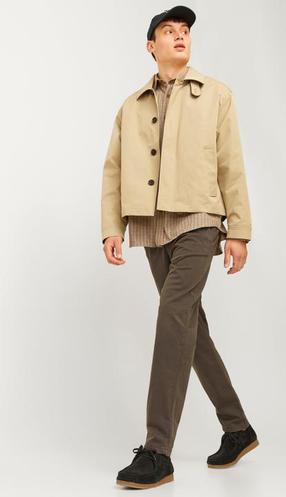 Actual product image Jack & Jones JPSTACE JJHARLOW CHINO NOOS Chino trousers (W29/L32)